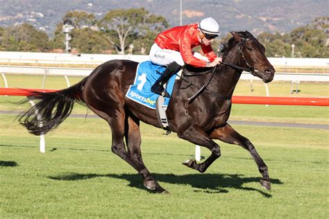 unitab results|australia horse racing results today.